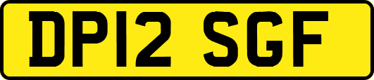 DP12SGF