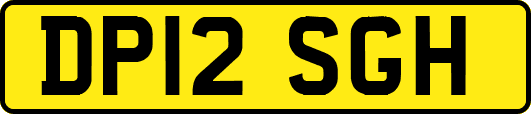 DP12SGH