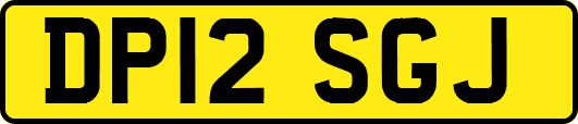 DP12SGJ