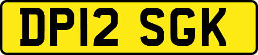 DP12SGK