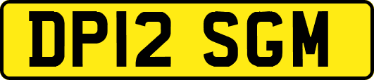 DP12SGM