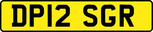 DP12SGR