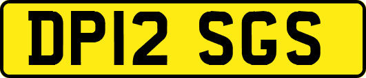 DP12SGS