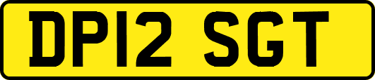 DP12SGT