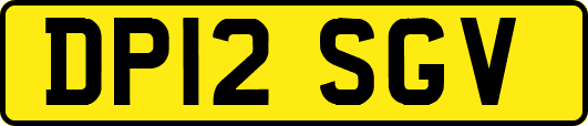 DP12SGV