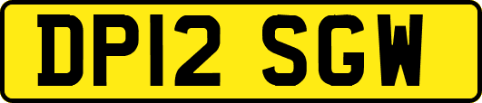 DP12SGW