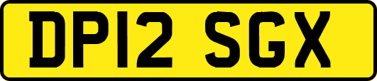 DP12SGX