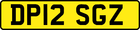 DP12SGZ
