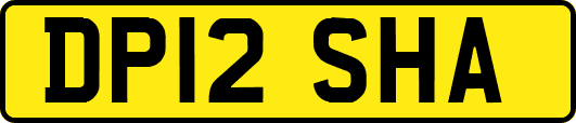 DP12SHA