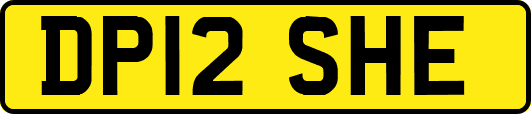 DP12SHE