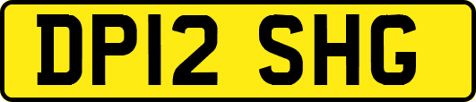 DP12SHG