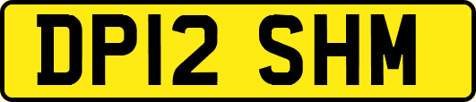 DP12SHM