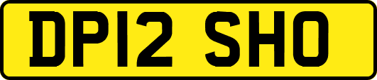 DP12SHO