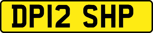 DP12SHP