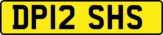 DP12SHS