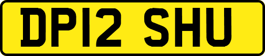 DP12SHU