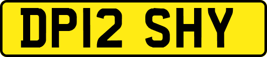 DP12SHY