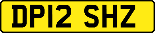 DP12SHZ