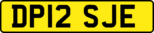 DP12SJE