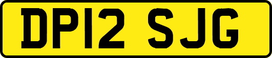 DP12SJG
