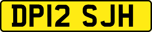 DP12SJH