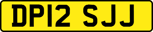 DP12SJJ