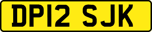 DP12SJK