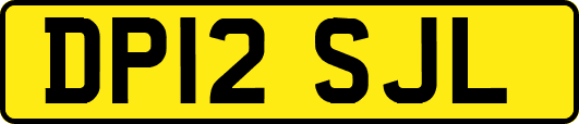 DP12SJL