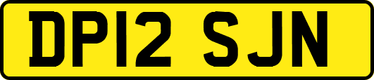 DP12SJN