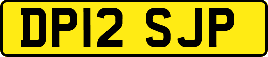 DP12SJP