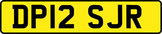 DP12SJR