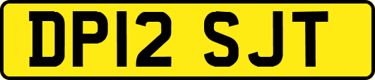DP12SJT