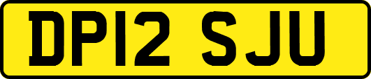 DP12SJU