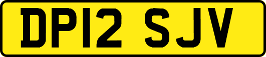 DP12SJV