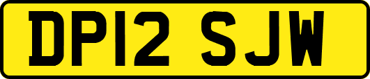 DP12SJW