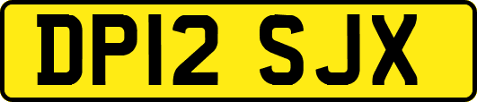DP12SJX