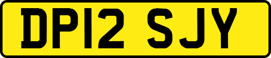 DP12SJY