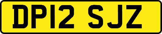 DP12SJZ