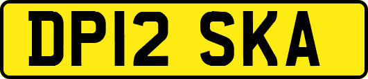DP12SKA
