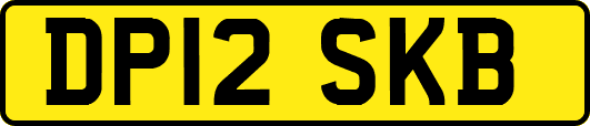 DP12SKB