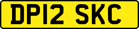 DP12SKC