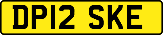DP12SKE
