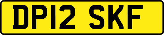 DP12SKF