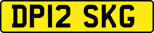 DP12SKG