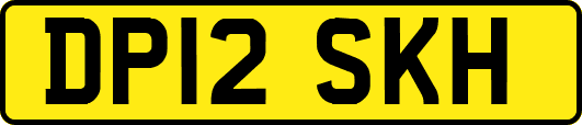 DP12SKH