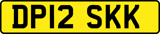 DP12SKK