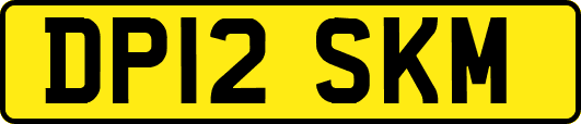 DP12SKM
