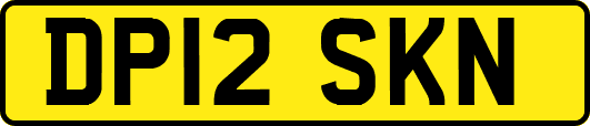 DP12SKN