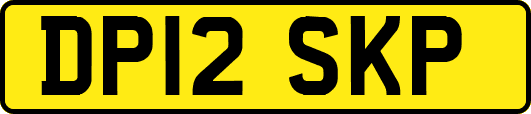 DP12SKP