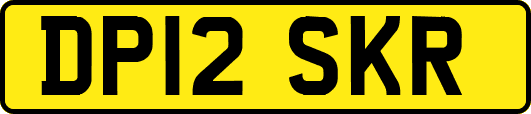 DP12SKR